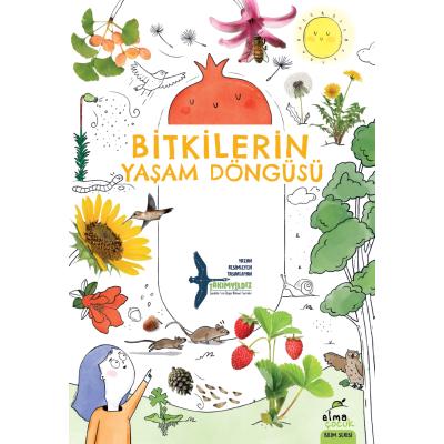 Bitkilerin Yaşam Döngüsü x 1 adet